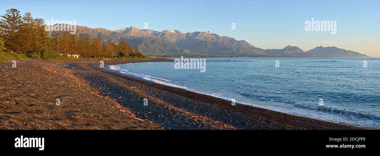 Kaikoura Beach Panorama at Dawn on a perfect Spring day with Norfolk Pine Trees and Mountains