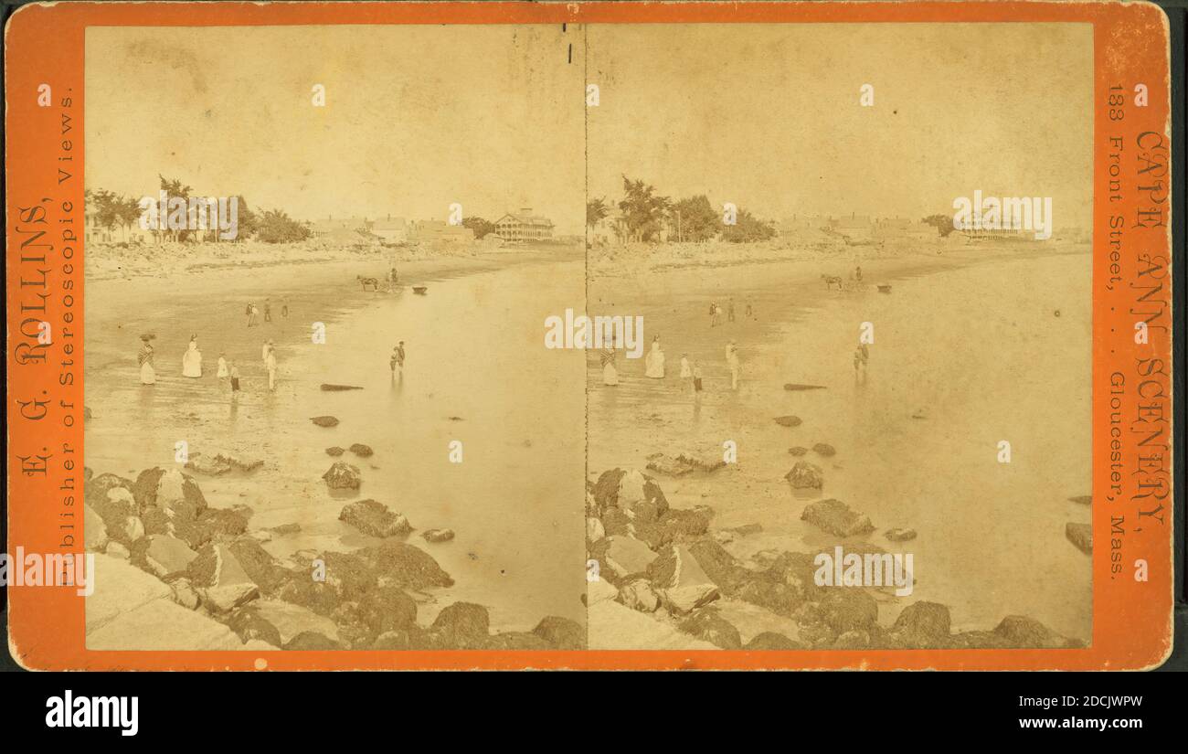 Rollins Insurance Belmont Crucible Series Books 12 14 By Rollins Insurance Belmont Crucible Series Books 12 14 By