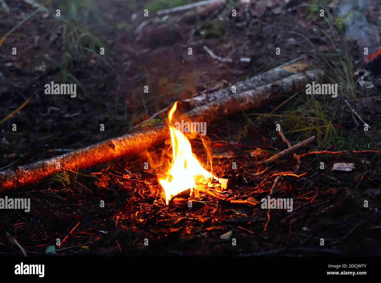 Fire in the forest. Bright flame on nature background Stock Photo Alamy
