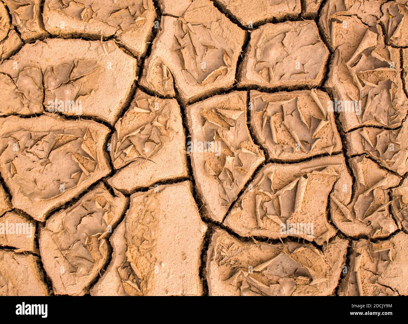 cracked dry brown earth, dry earth surface, abstract textured background. Dehydrated land, drought. Copy space Stock Photo