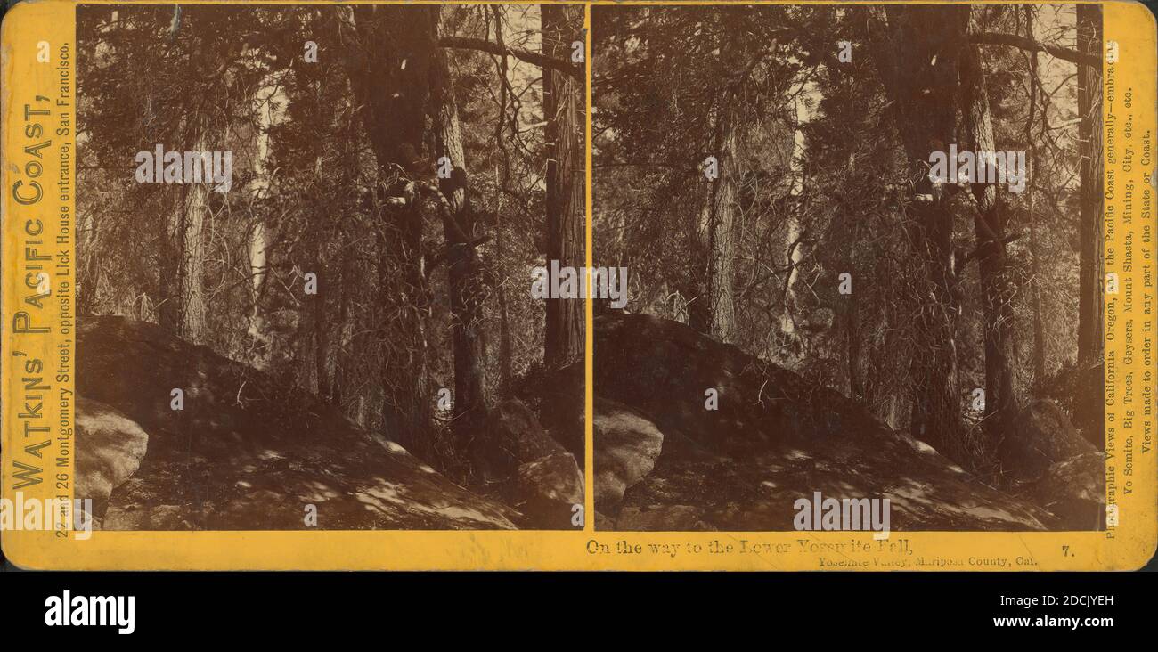 On the way to the Lower Yosemite Fall, Yosemite Valley, Mariposa County, Cal., still image, Stereographs, 1861 - 1873, Watkins, Carleton E. (1829-1916 Stock Photo