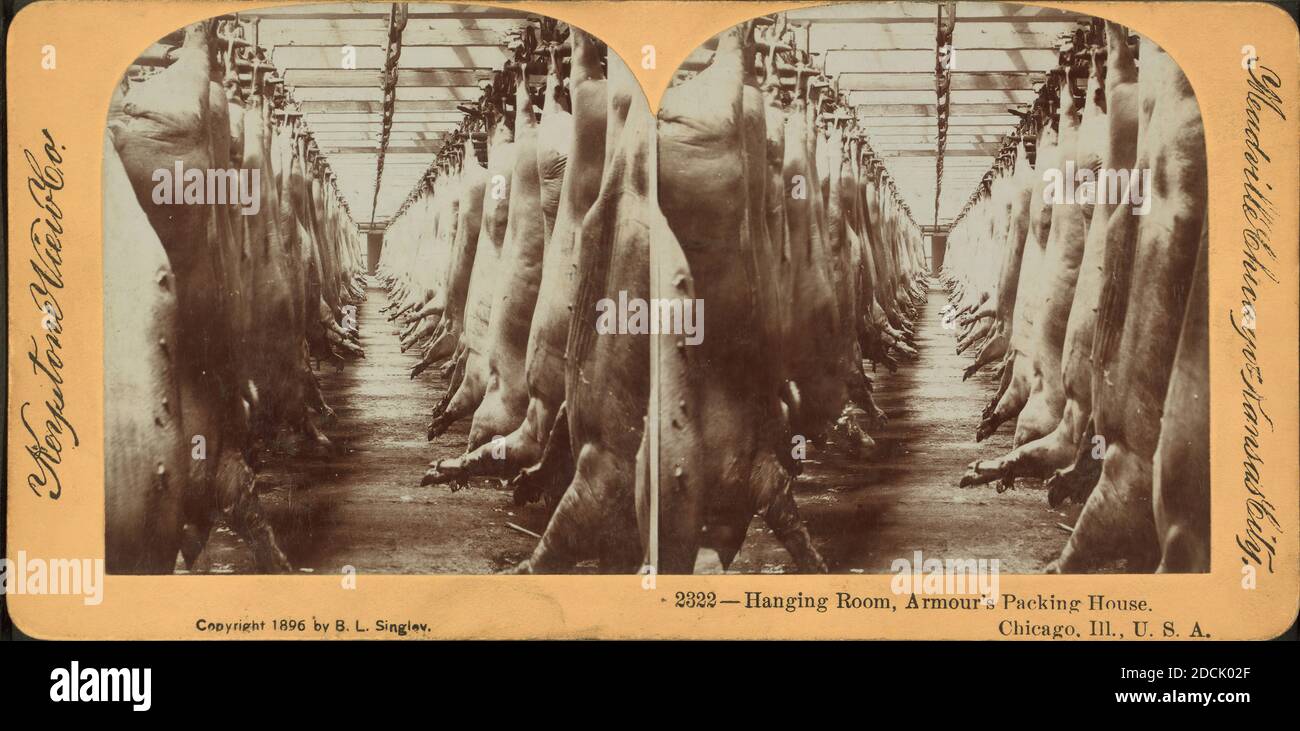 Hanging room, Armour's packing house, Chicago, Ill., still image, Stereographs, 1850 1930