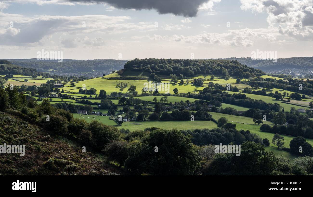 Sun shines on the distinctive wooded hill of Cam Long Down in Gloucestershire's Cotswold Hills, with the Tyndale Monument behind. Stock Photo