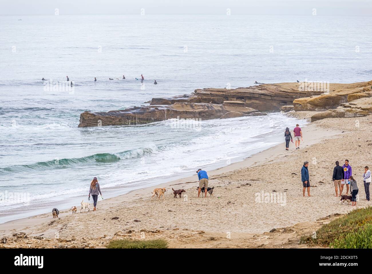 People On Windansea Beach On A November Morning La Jolla California Usa Stock Photo Alamy