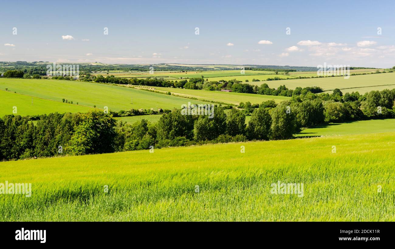 Agricultural fields and chalk downland around the sparsely populated Tarrant Valley in England's Dorset Downs hills. Stock Photo