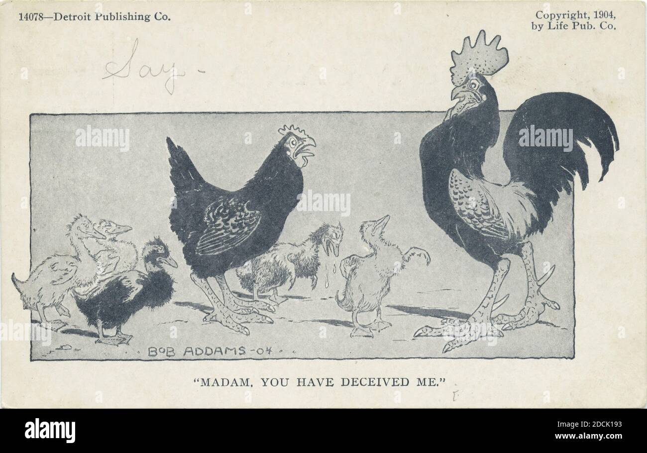 Madam, You have deceived me, Life Cartoons, still image, Postcards, 1898 - 1931 Stock Photo