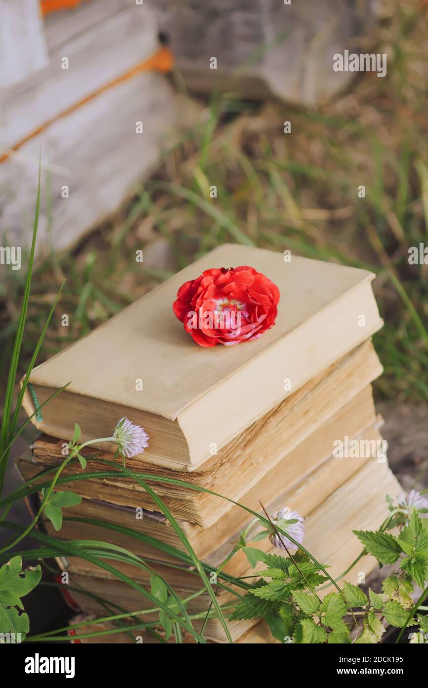 Vintage card with stack of old books and red rose flower outdoors Stock Photo