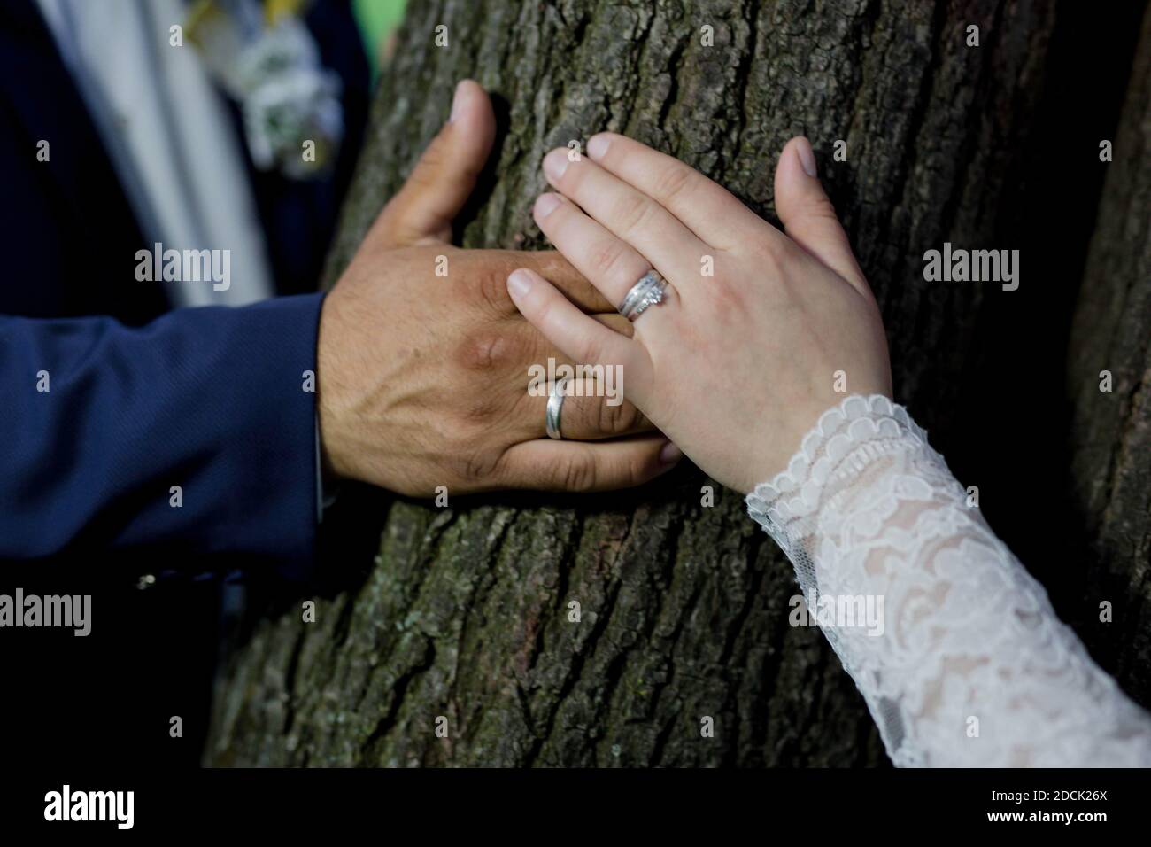 A closeup of the bride and the groom holding hands on a tree outdoors ...