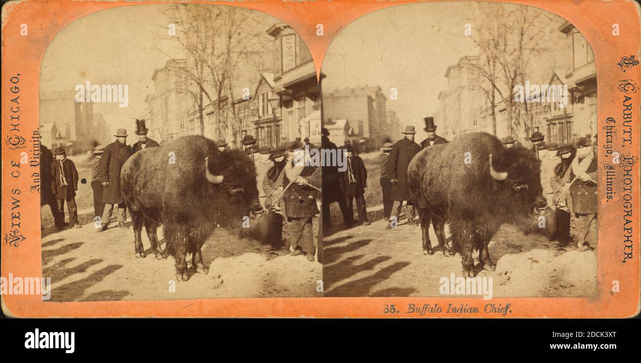 Buffalo Indian chief. [People looking at a buffalo on an unidentified street.], still image, Stereographs, 1850 - 1930, Carbutt, John (1832-1905 Stock Photo