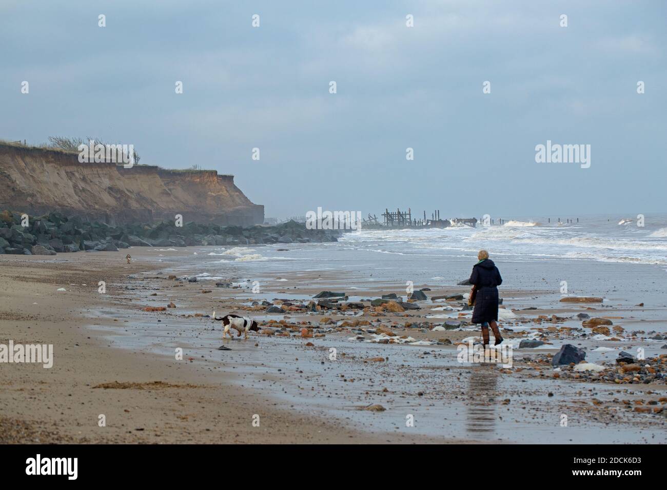 Dog walker. Happisburgh beach, Norfolk. Coastal cliff erosion by the North Sea. Destroyed brick built house material on the beach. Sea defences of imp Stock Photo