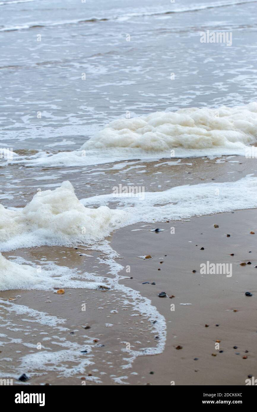 Froth, seafoam, churned up by the surf on the foreshore. Incoming tide. Happisburgh. North Norfolk. Coast. Foam forms from dissolved decaying algal, o Stock Photo