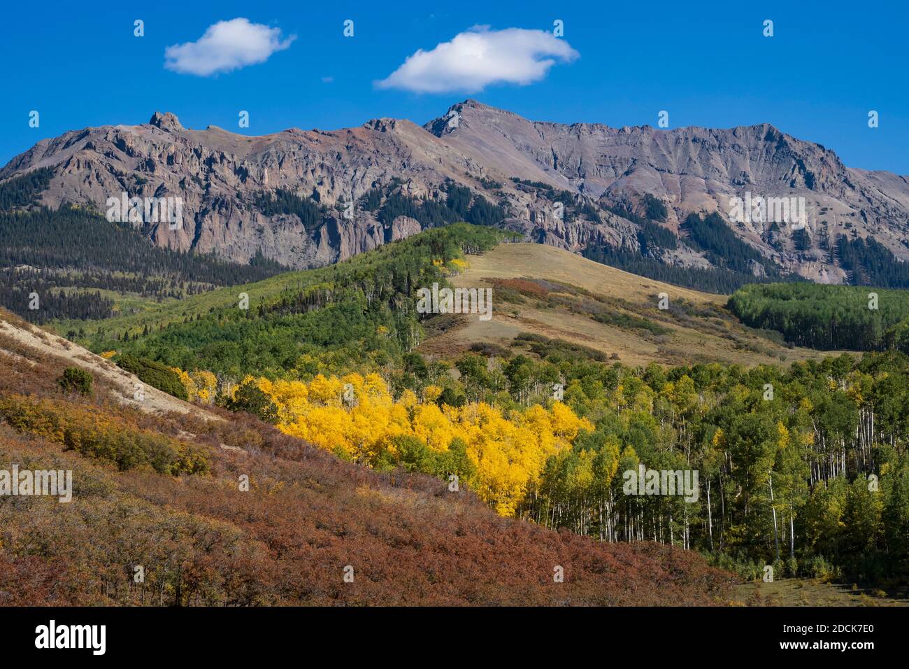 Fall color, San Juan Mountains off the Last Dollar Road, Ridgway, Colorado. Stock Photo