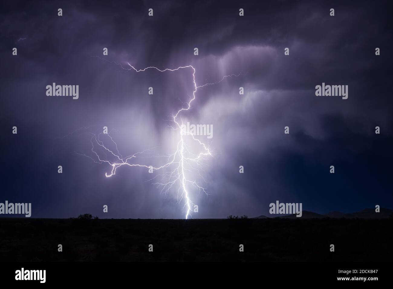 Strong storm and lightning bolt in the night sky over Arizona Stock Photo