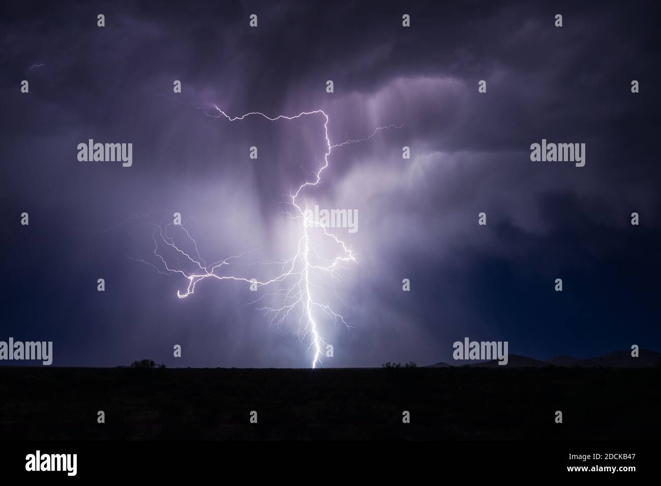 Strong storm and lightning bolt in the night sky over Arizona Stock ...