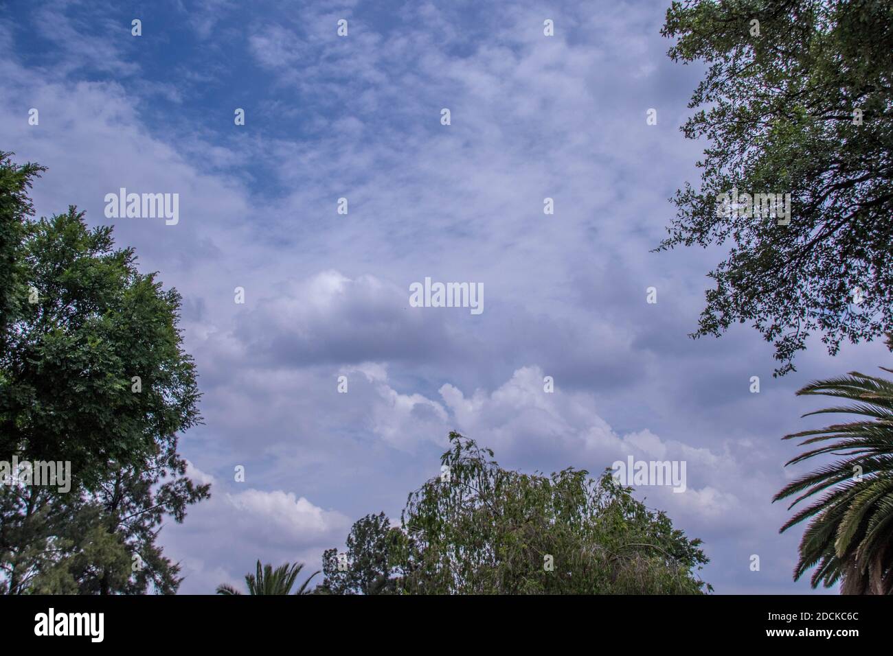 Highveld south africa hi-res stock photography and images - Alamy