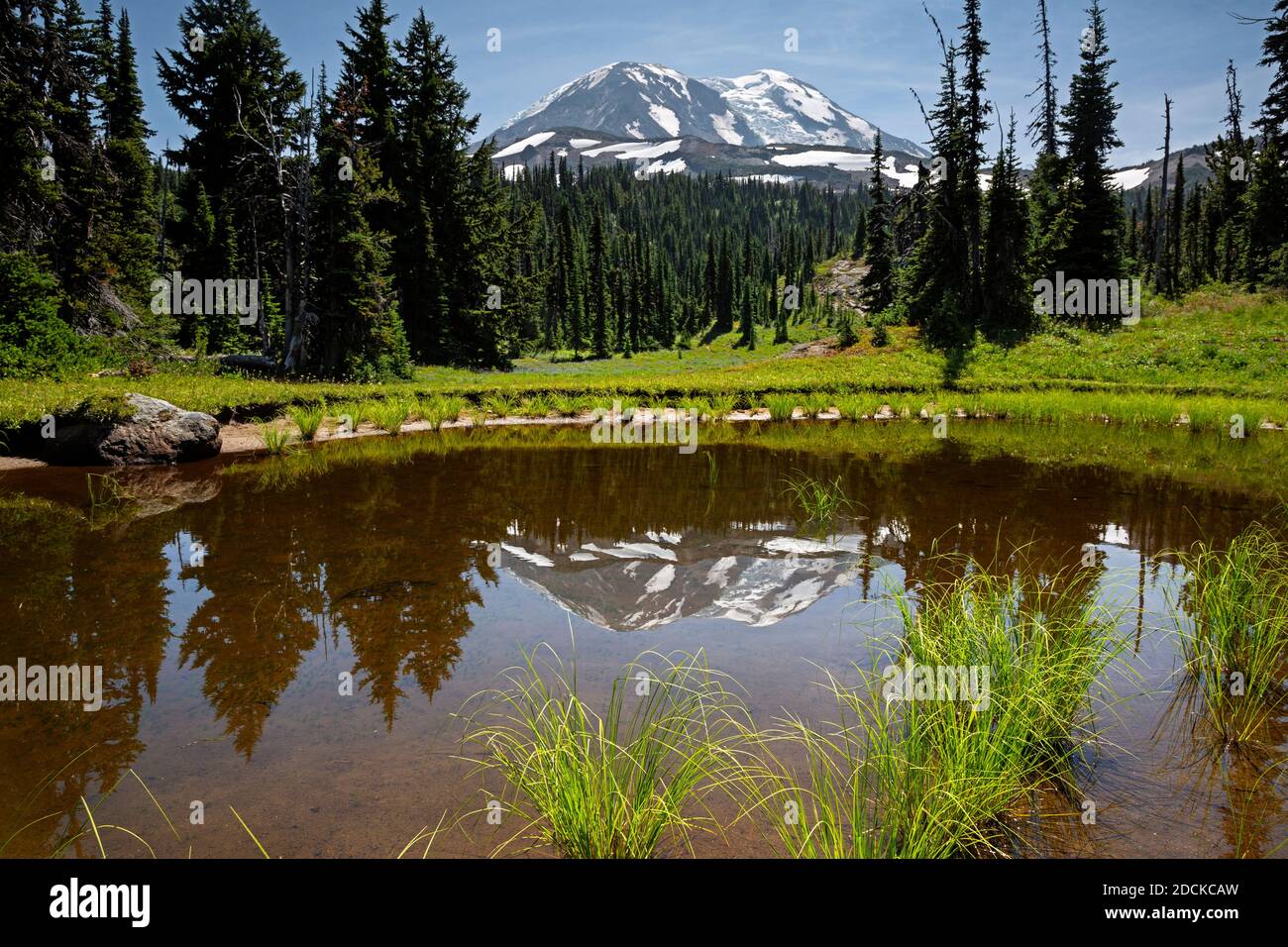 WA18387-00...WASHINGTON - Small tarn in Killen Flats near the PCT/Highline Trail in the Mount Adams Wilderness in the Gifford Pinchot National Forest. Stock Photo