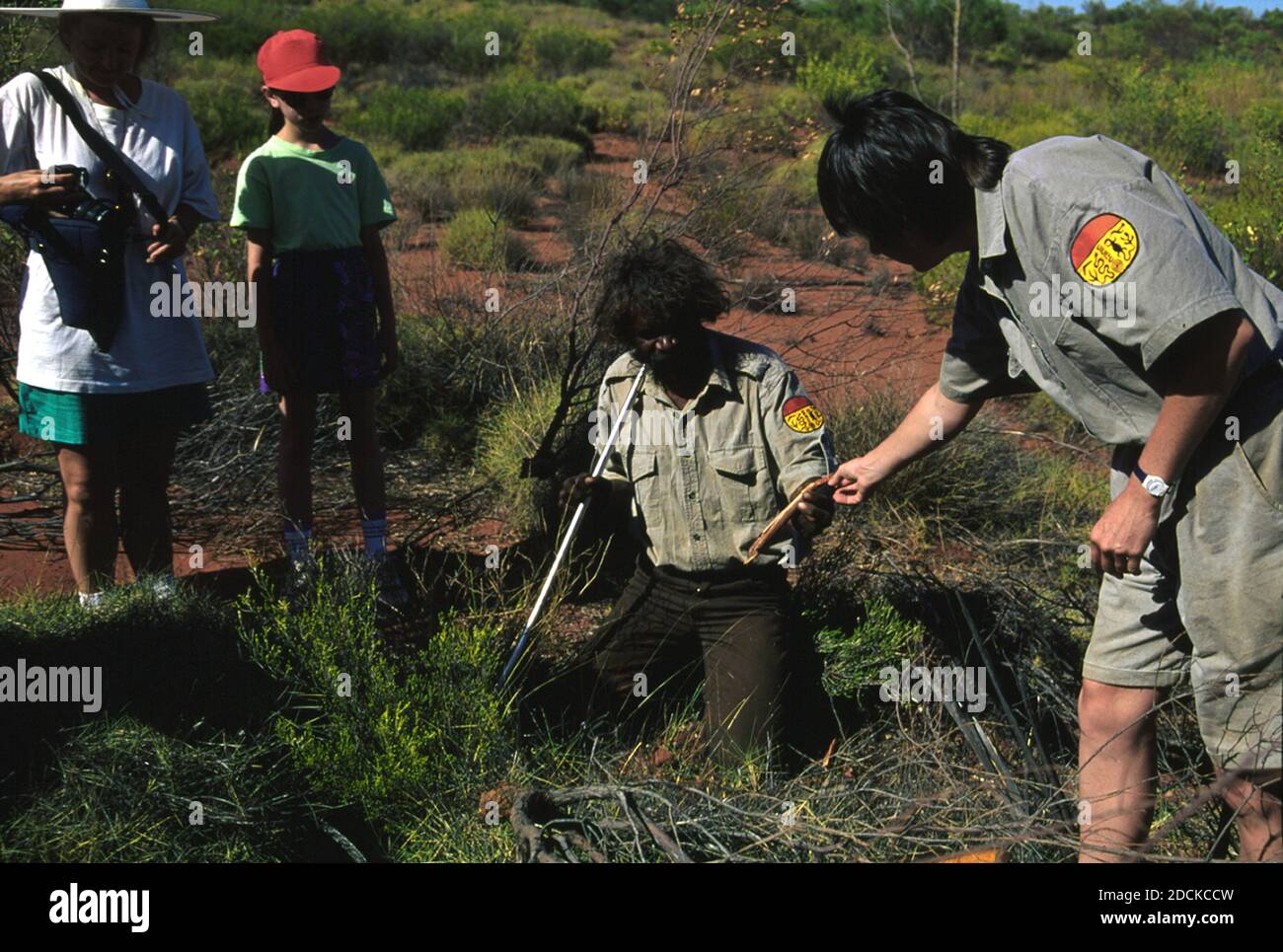 Aboriginal guide showing a witchetty grub, central Australia Stock Photo