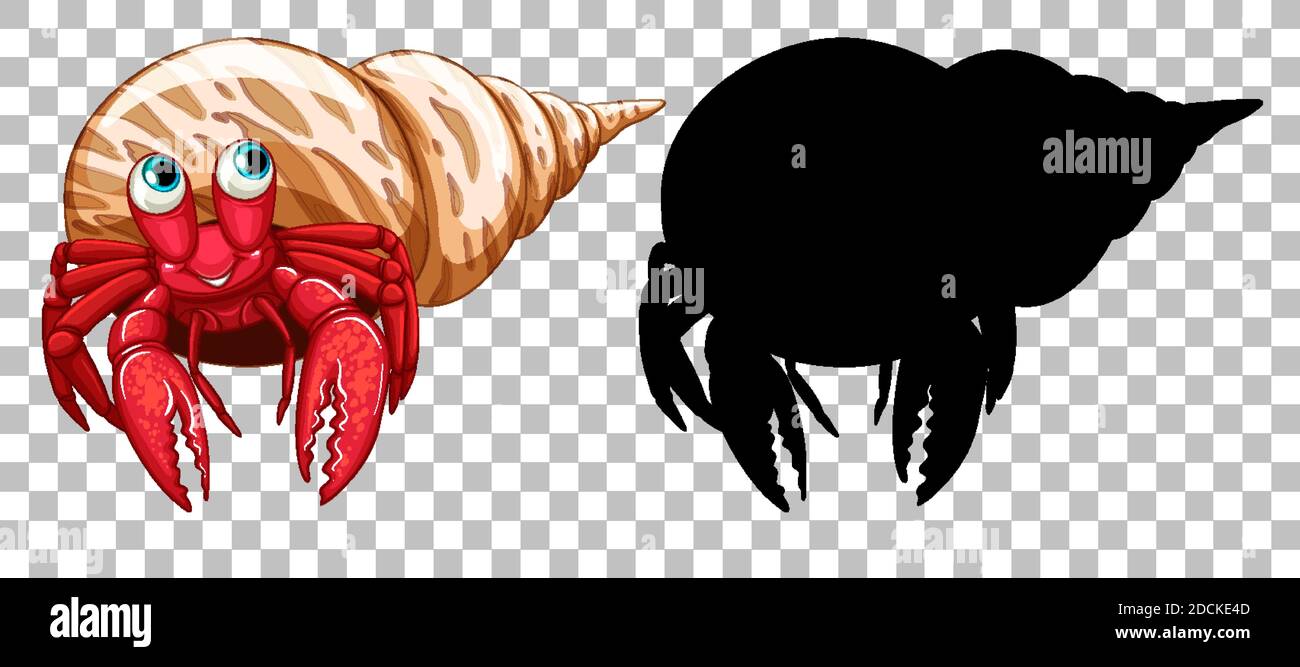 Hermit crab and its silhouette on transparent background illustration ...