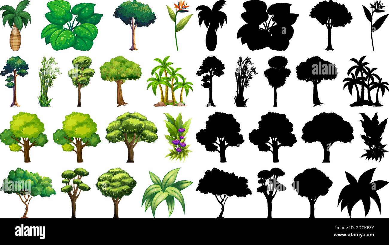 Set of isolated tree illustration Stock Vector Image & Art - Alamy