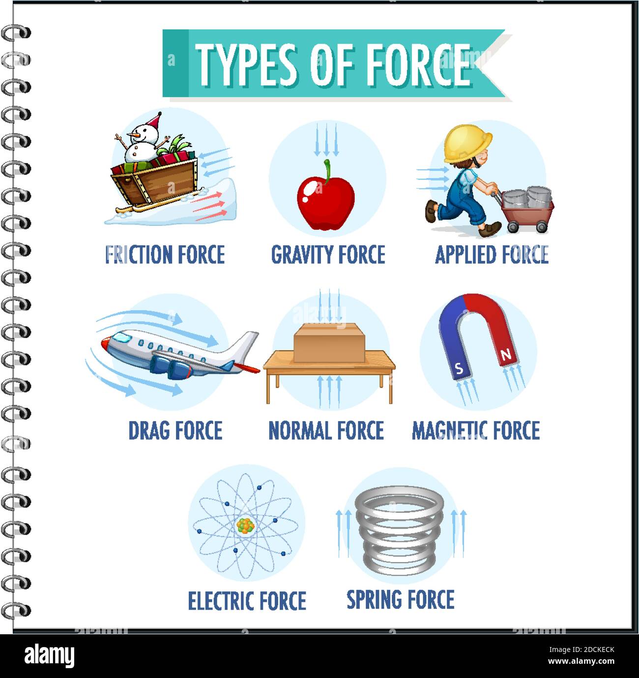 Types of force for children physics educational illustration Stock ...