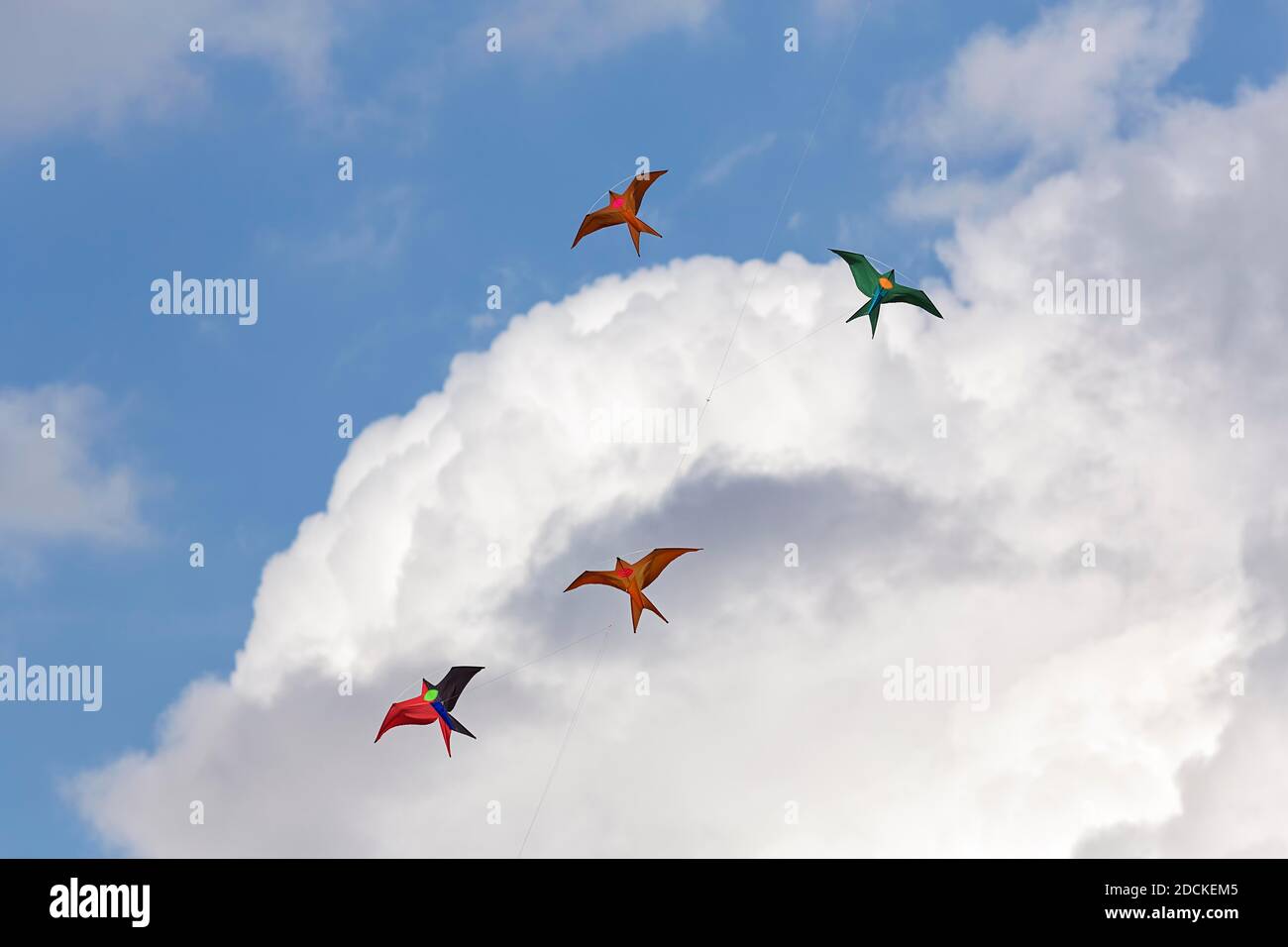 Four colourful kites in bird shape flying in front of cumulus clouds in the blue sky, North Rhine-Westphalia, Germany Stock Photo
