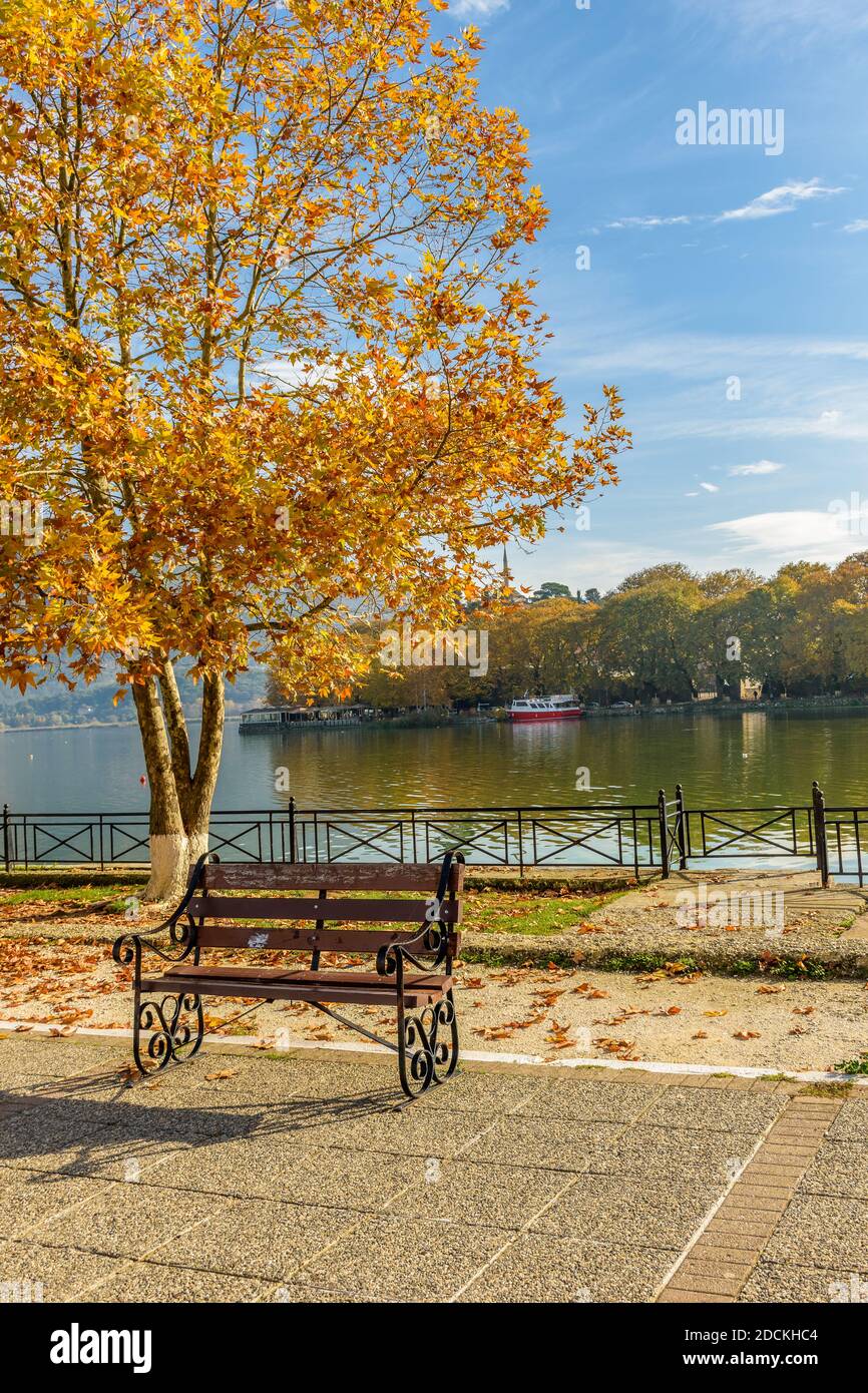 Falling colors in Ioannina city with a bench under a tree   and lake Pamvotis as background. Stock Photo