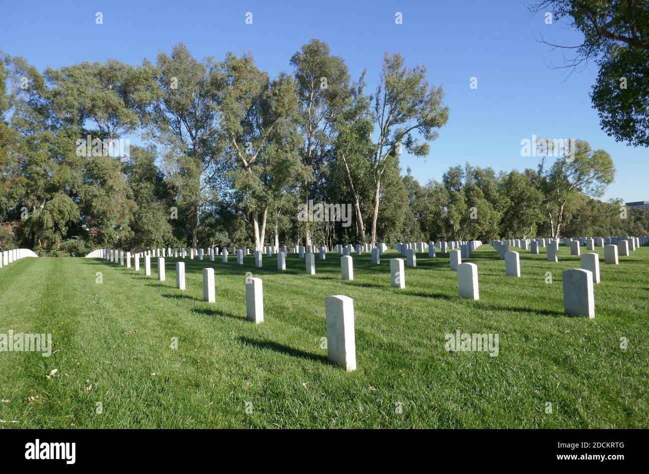 Wyatt Earp Grave