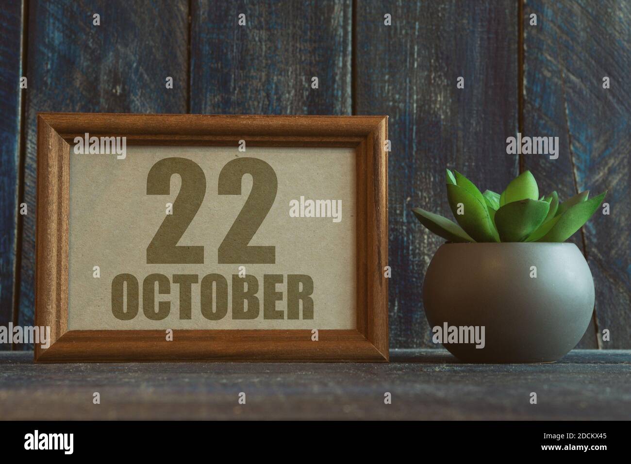 october 22nd. Day 22 of month, date in frame next to succulent on wooden background autumn month, day of the year concept Stock Photo