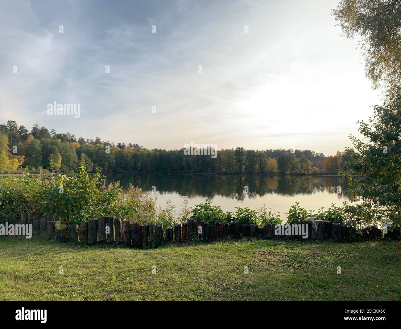 Lake in a forest in early autumn Stock Photo - Alamy