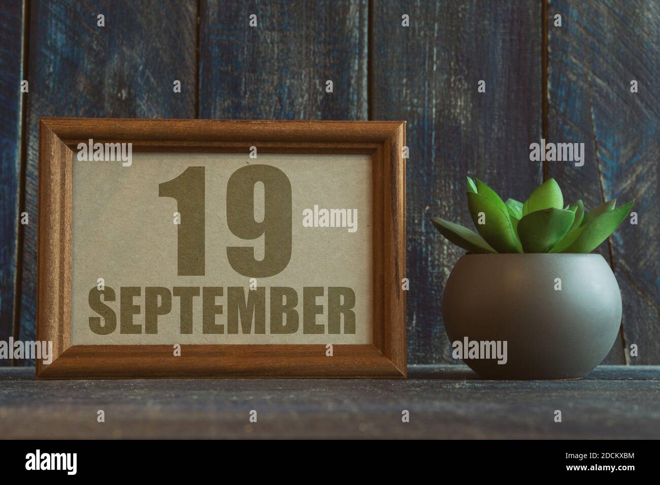september 19th. Day 19 of month, date in frame next to succulent on wooden background autumn month, day of the year concept Stock Photo