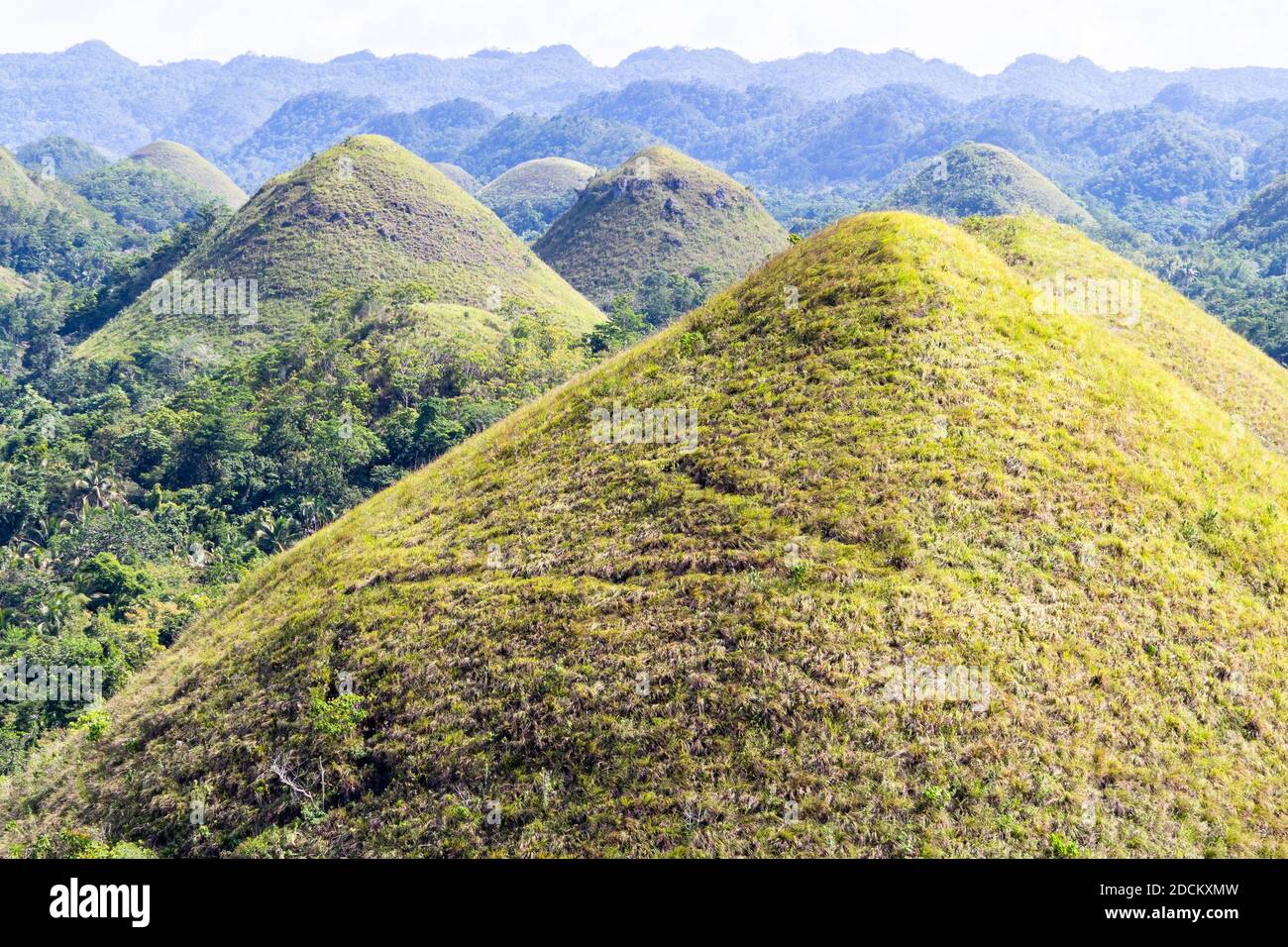 The chocolate hills of Bohol in the Philippines Stock Photo