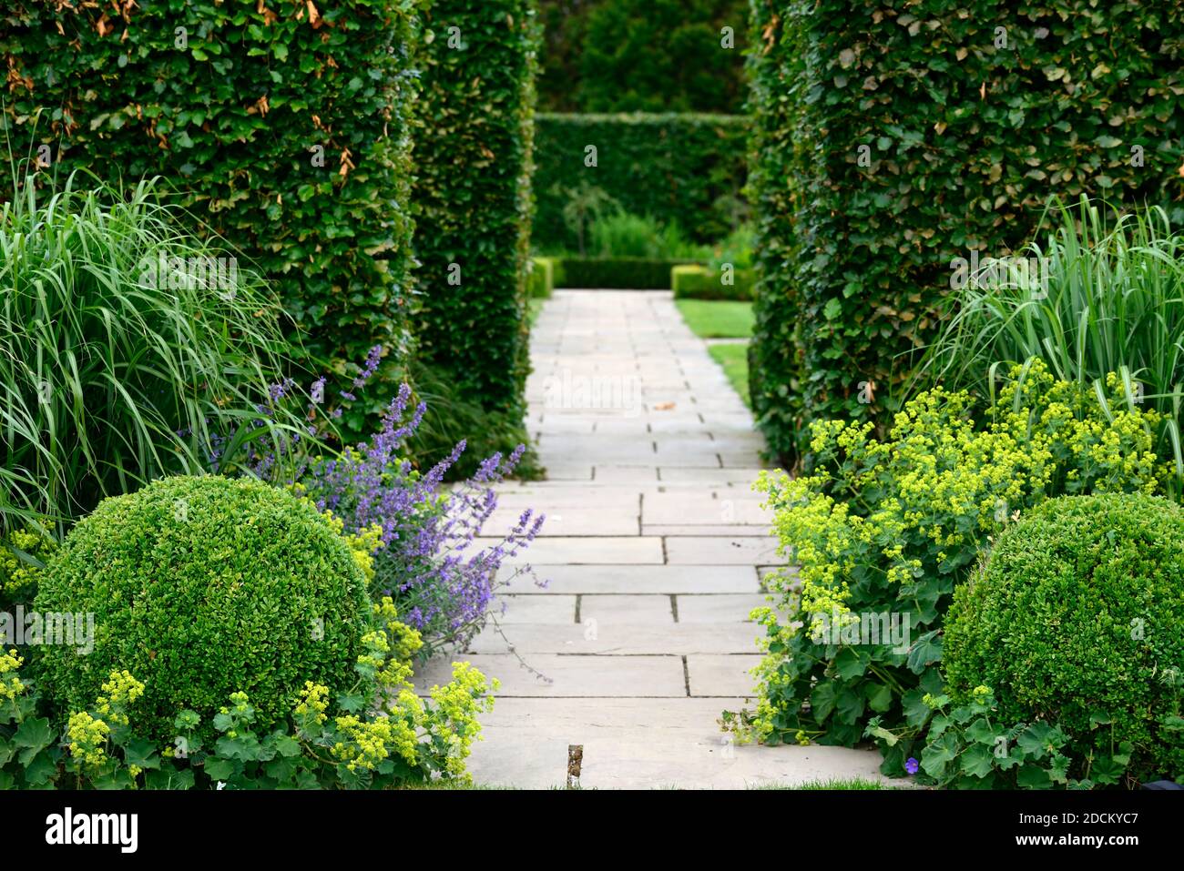 Buxus gardens hi-res stock photography and images - Alamy