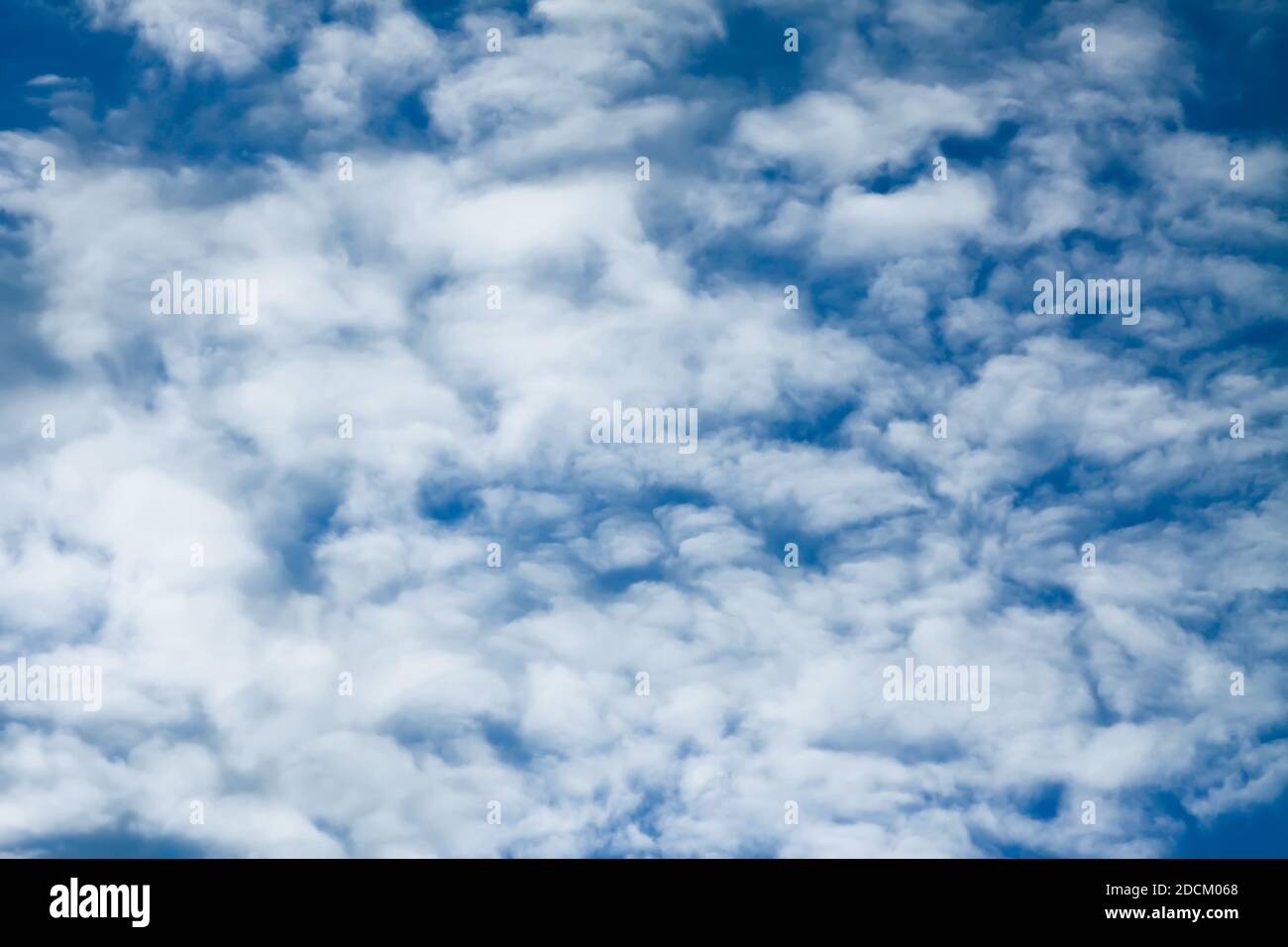 Blue sky background with white fluffy clouds in warm summer day Stock ...