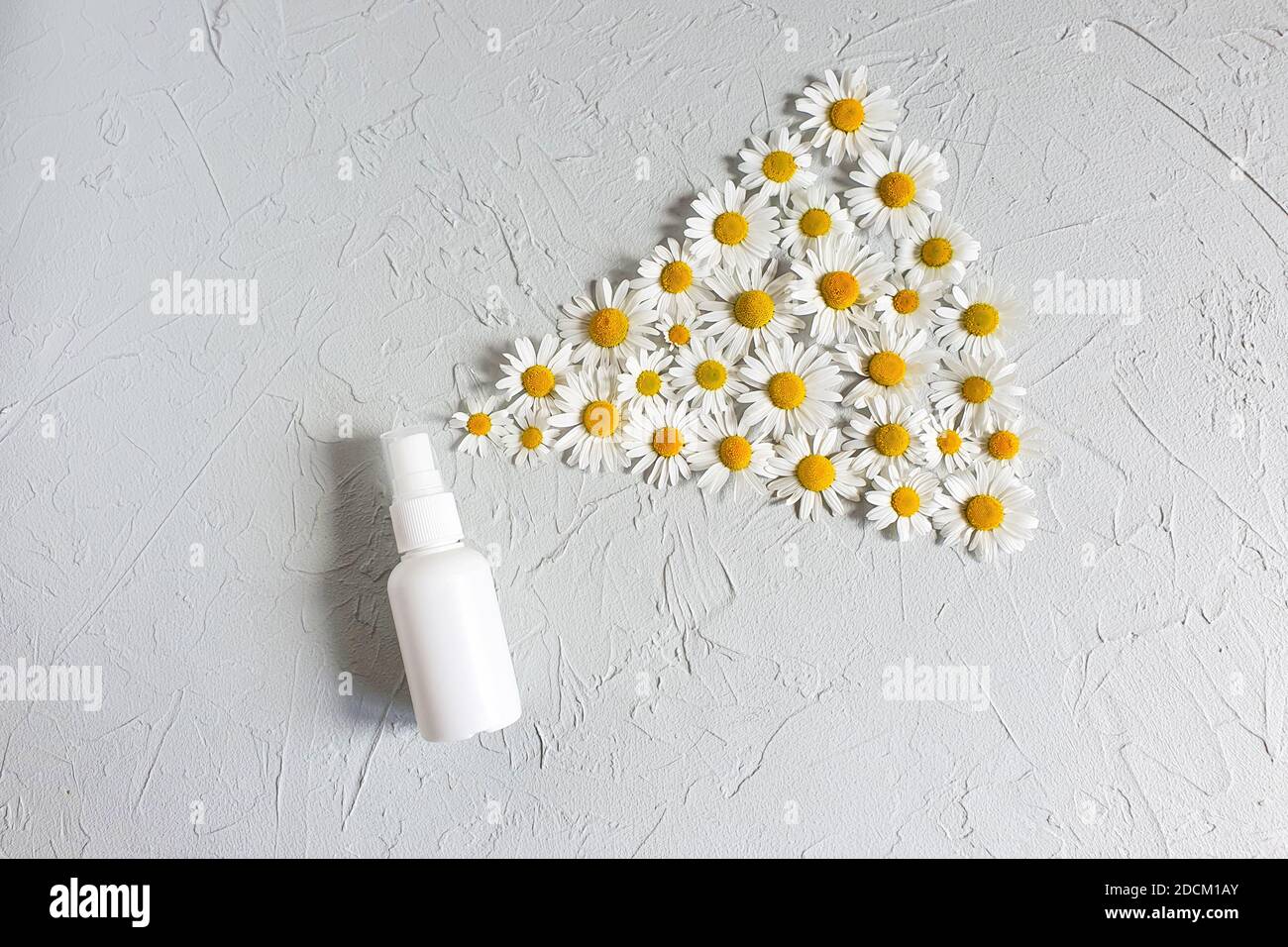 Download Mockup Of White Plastic Spray Bottle And Chamomiles On Pastel Gray Background Natural Organic Spa Cosmetics Spray Concept Body Mist Top View Stock Photo Alamy