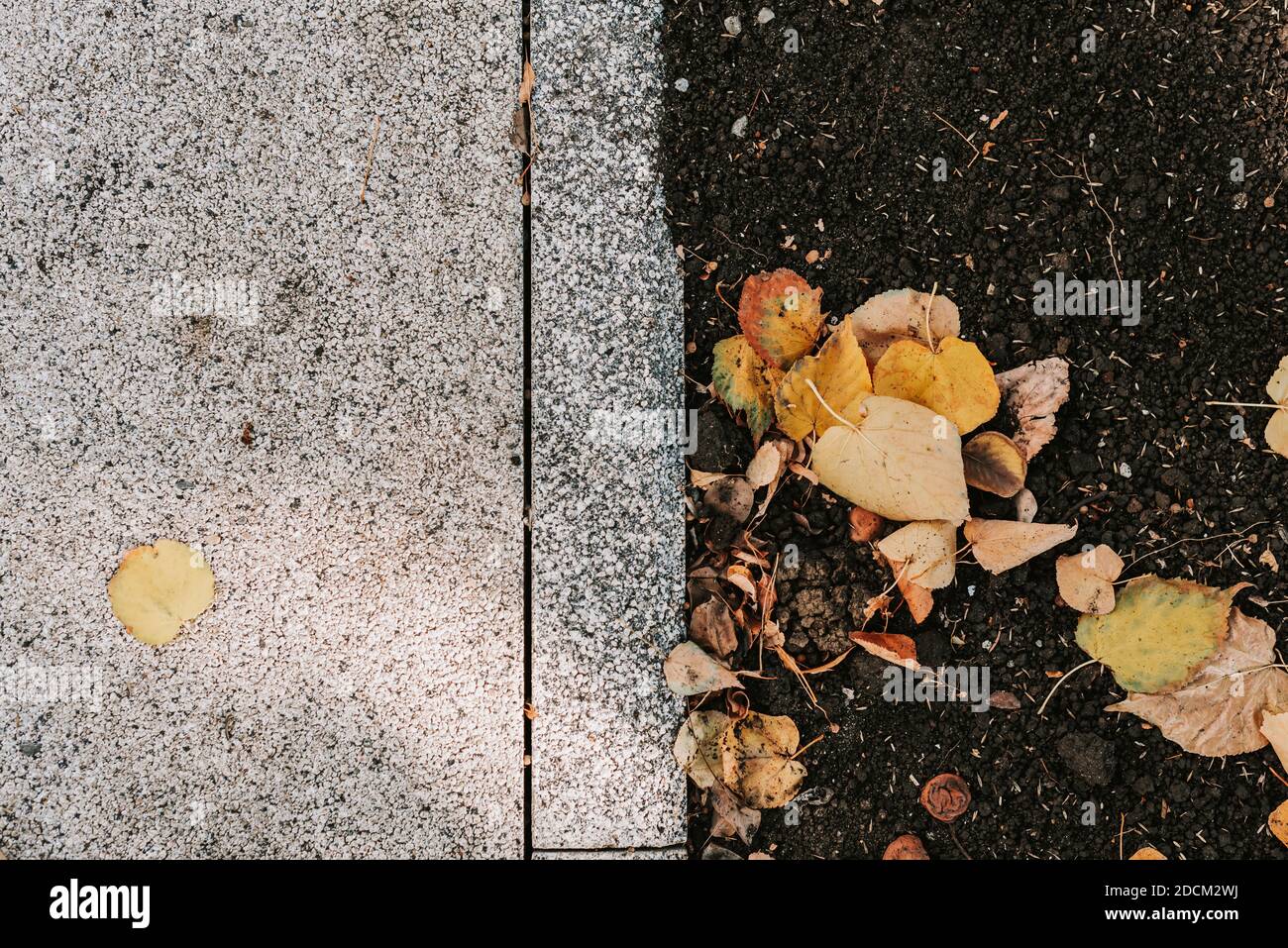 Grey stone pavement texture. Paving stones with yellow autumn leaves ...