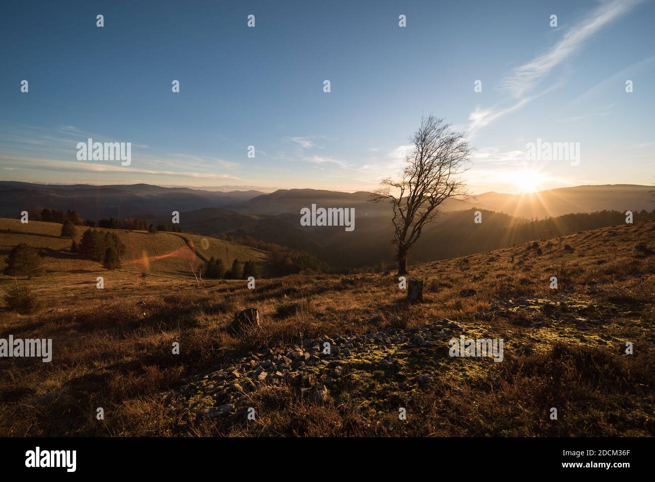 beautiful landscape in the southern black forest in germany, near the belchen summit. Stock Photo