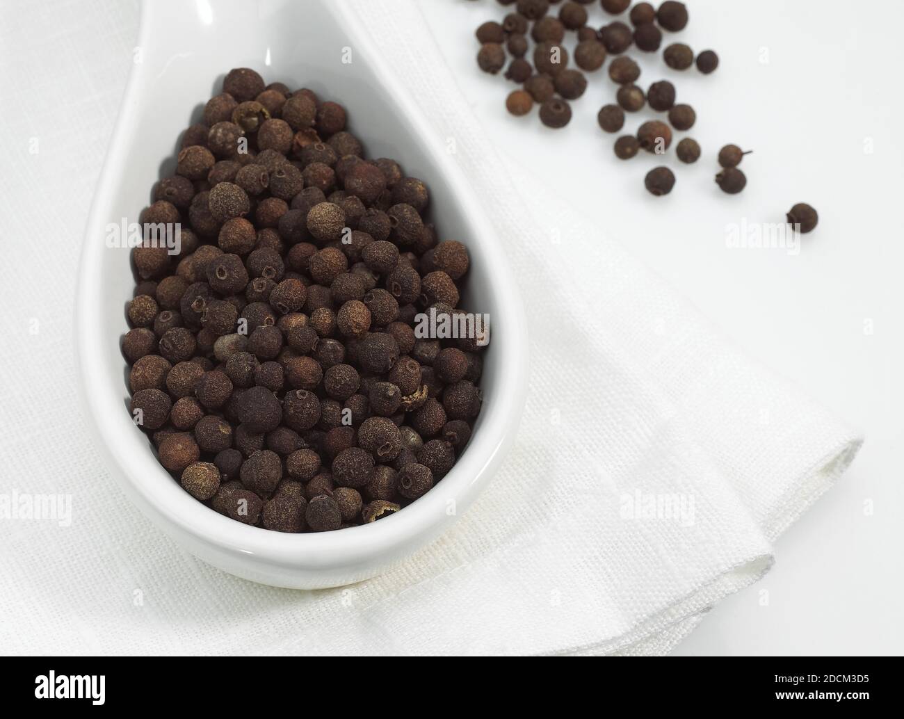 JAMAICA PEPPER AGAINST WHITE BACKGROUND Stock Photo Alamy