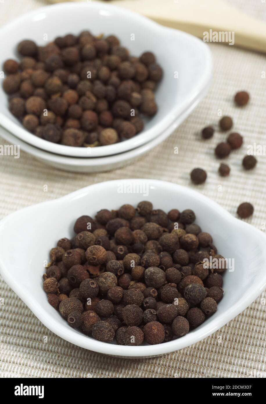 JAMAICA PEPPER IN A SAUCER Stock Photo Alamy