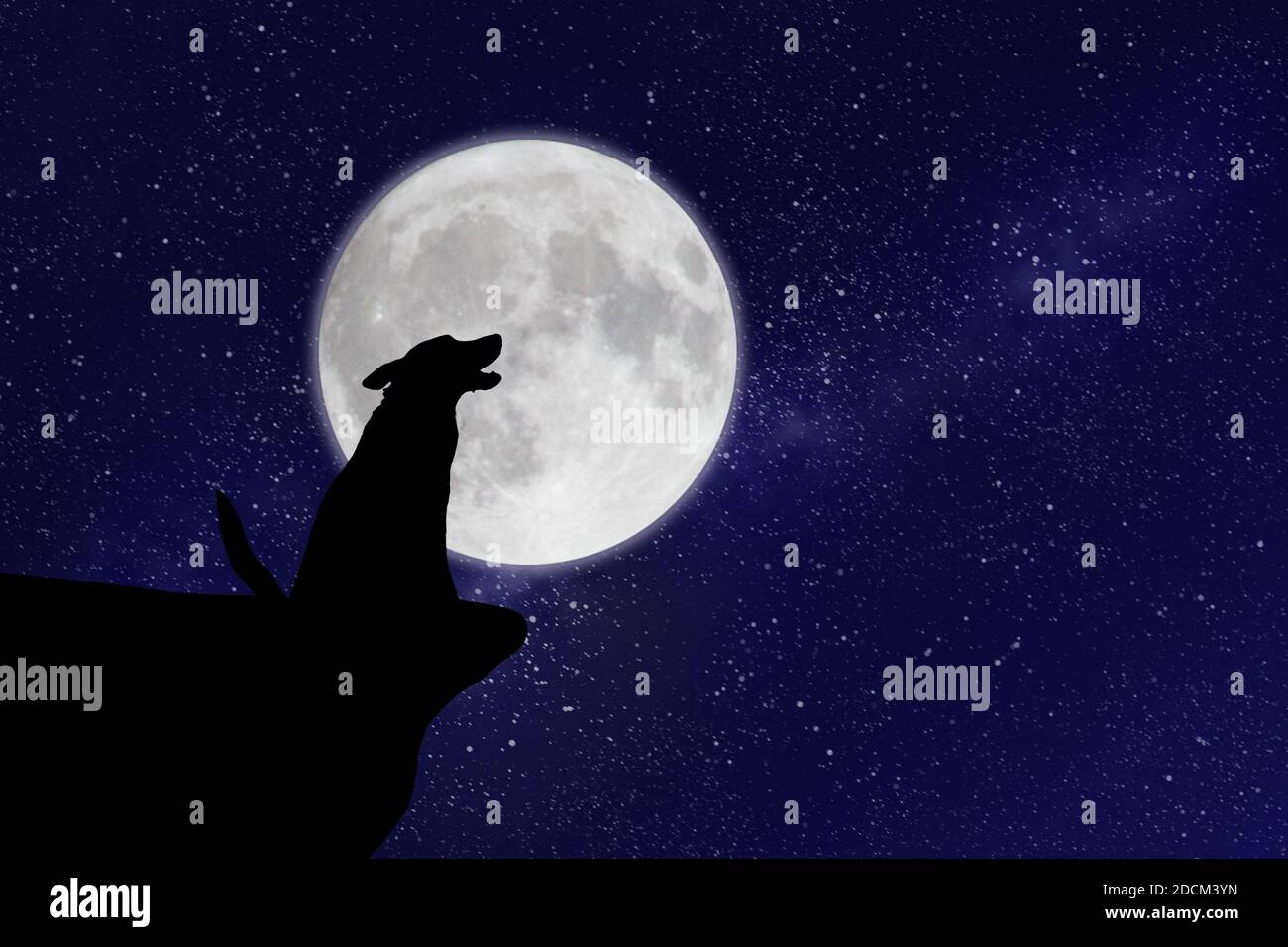 Lonely dog or wolf howling on the moon Stock Photo - Alamy