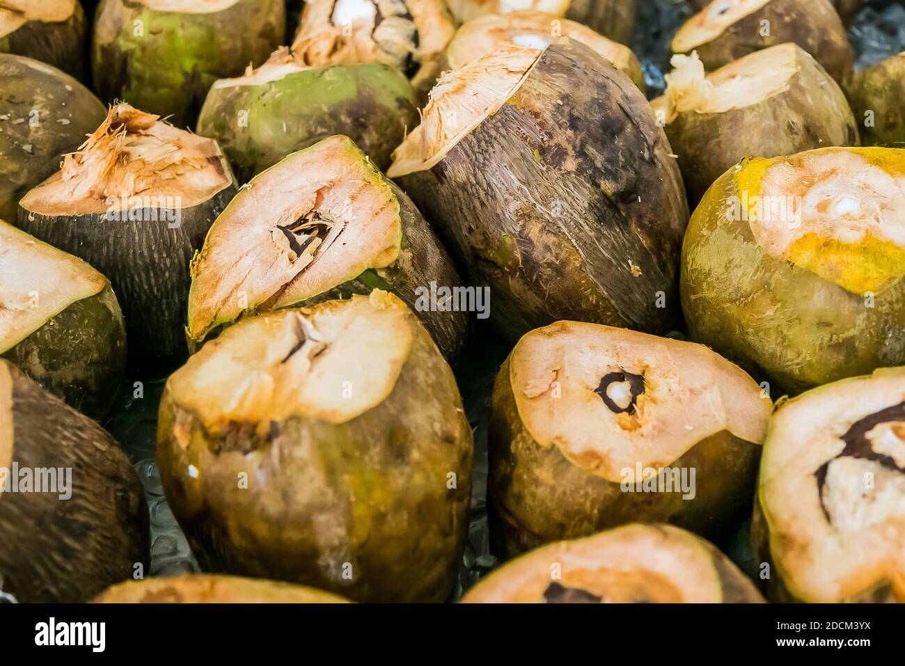 Shell nut coconut hi-res stock photography and images - Alamy