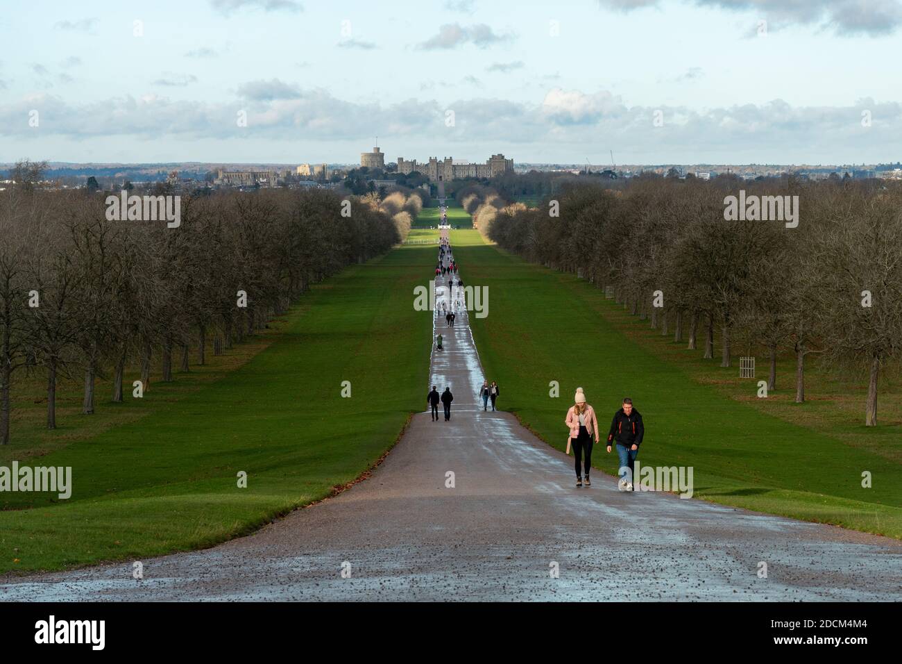 View of the Long Walk leading through Windsor Great Park to Windsor Castle with people walking in late autumn or November, UK Stock Photo