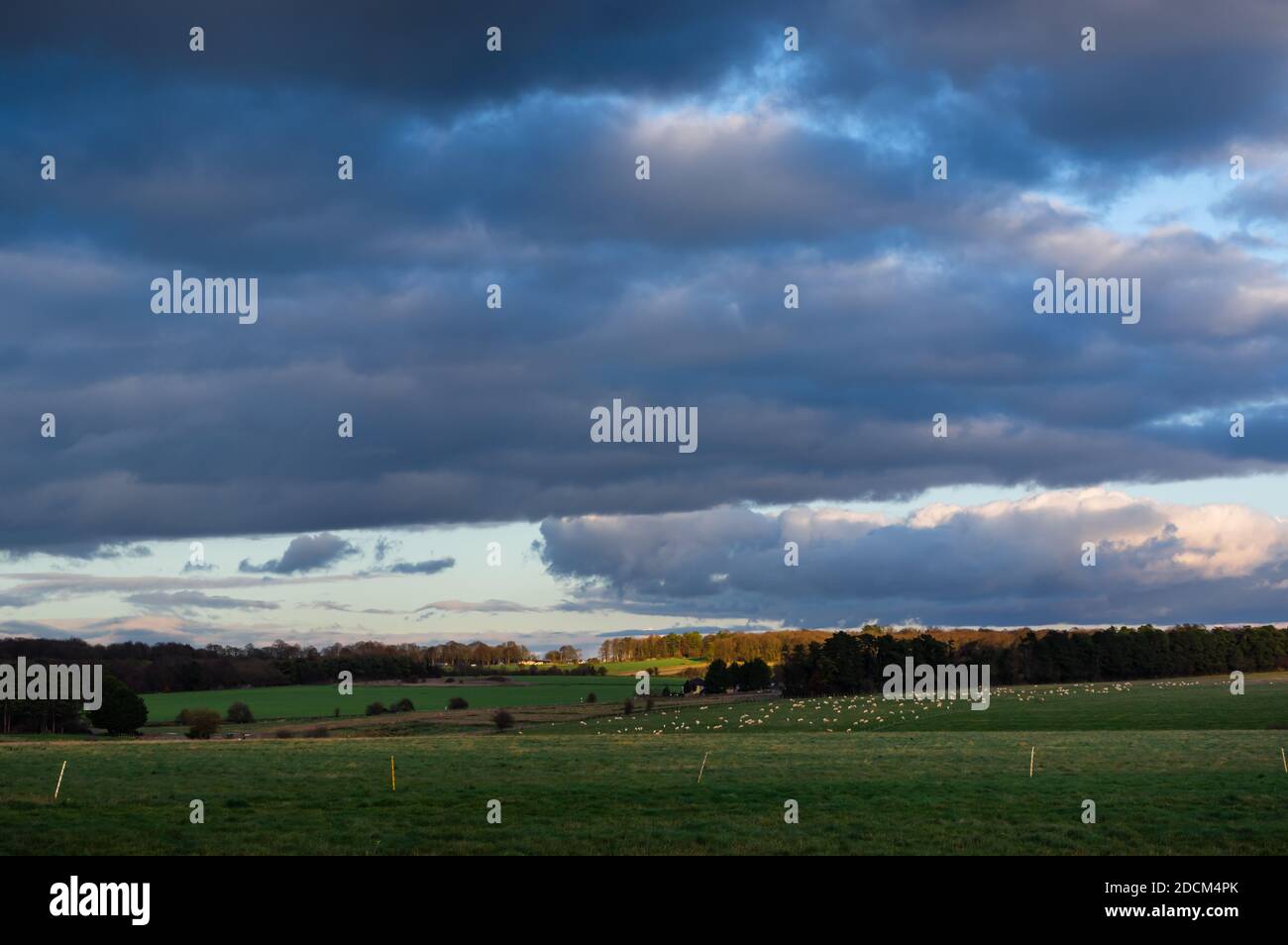 Sheep stonehenge england hi-res stock photography and images - Alamy