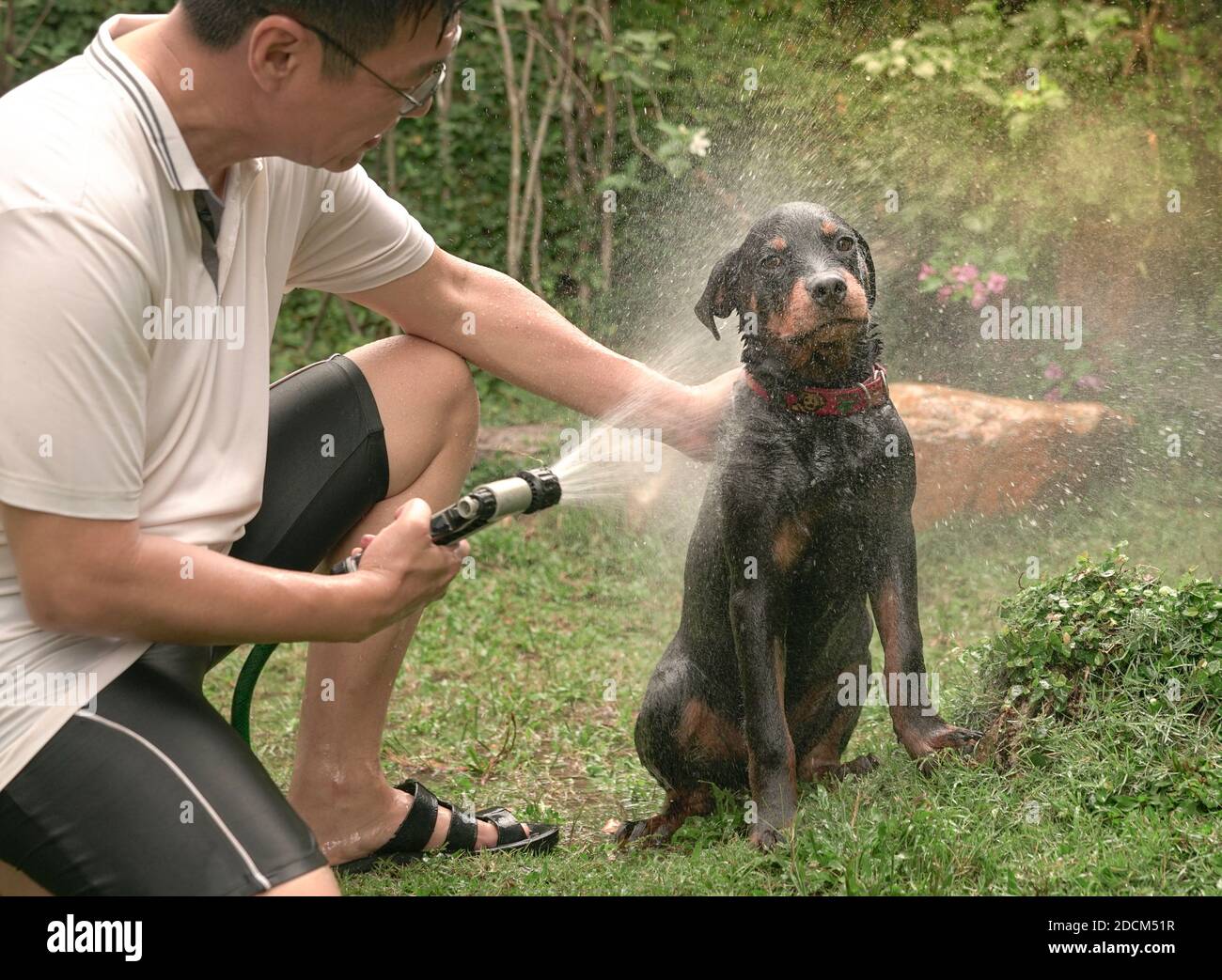 Best Dog Hose Shower Attachments For Washing Fido Outside!