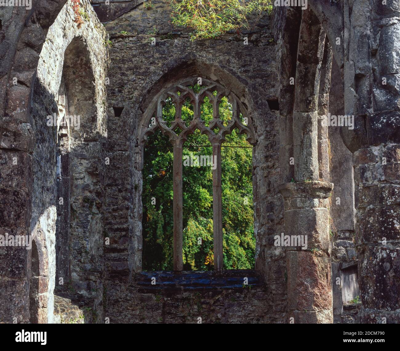 Holy Trinity Church, Buckfastleigh 8 Stock Photo Alamy