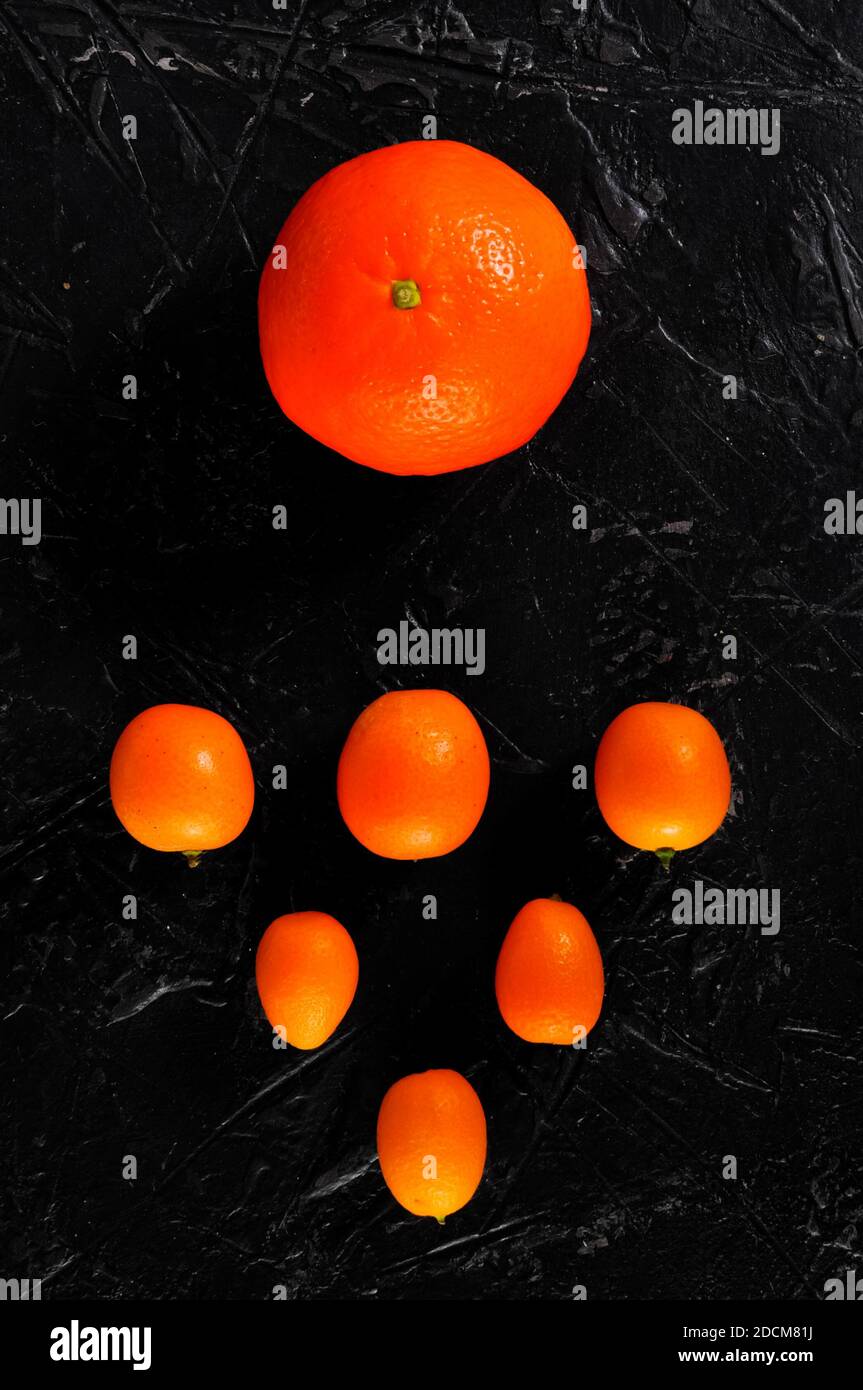 A few kumquats and a tangerine or orange on a dark background. The concept of leadership, similarities and differences. Stock Photo
