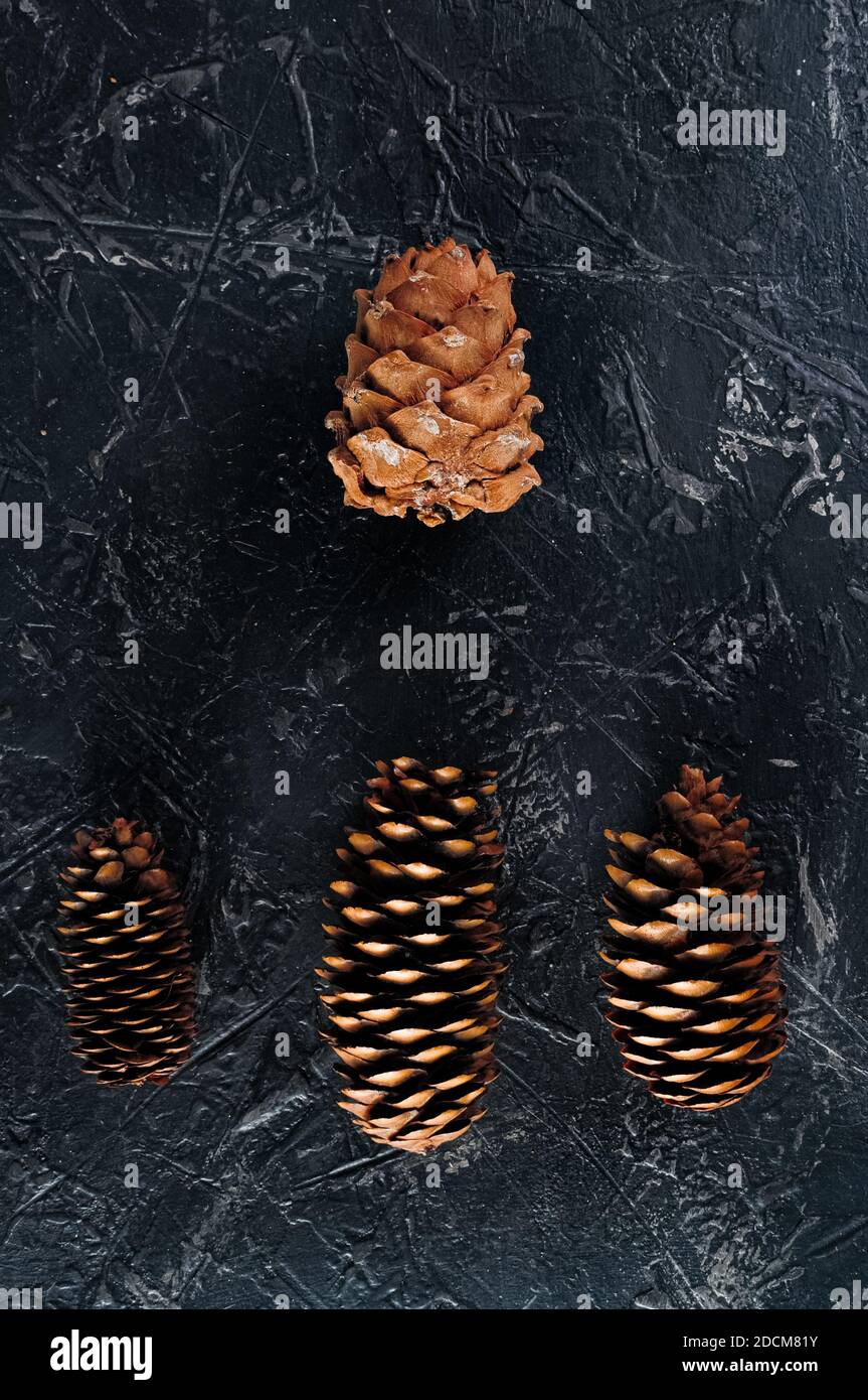 Several different cones of a coniferous tree on a dark background. The concept of leadership, similarities and differences. Stock Photo