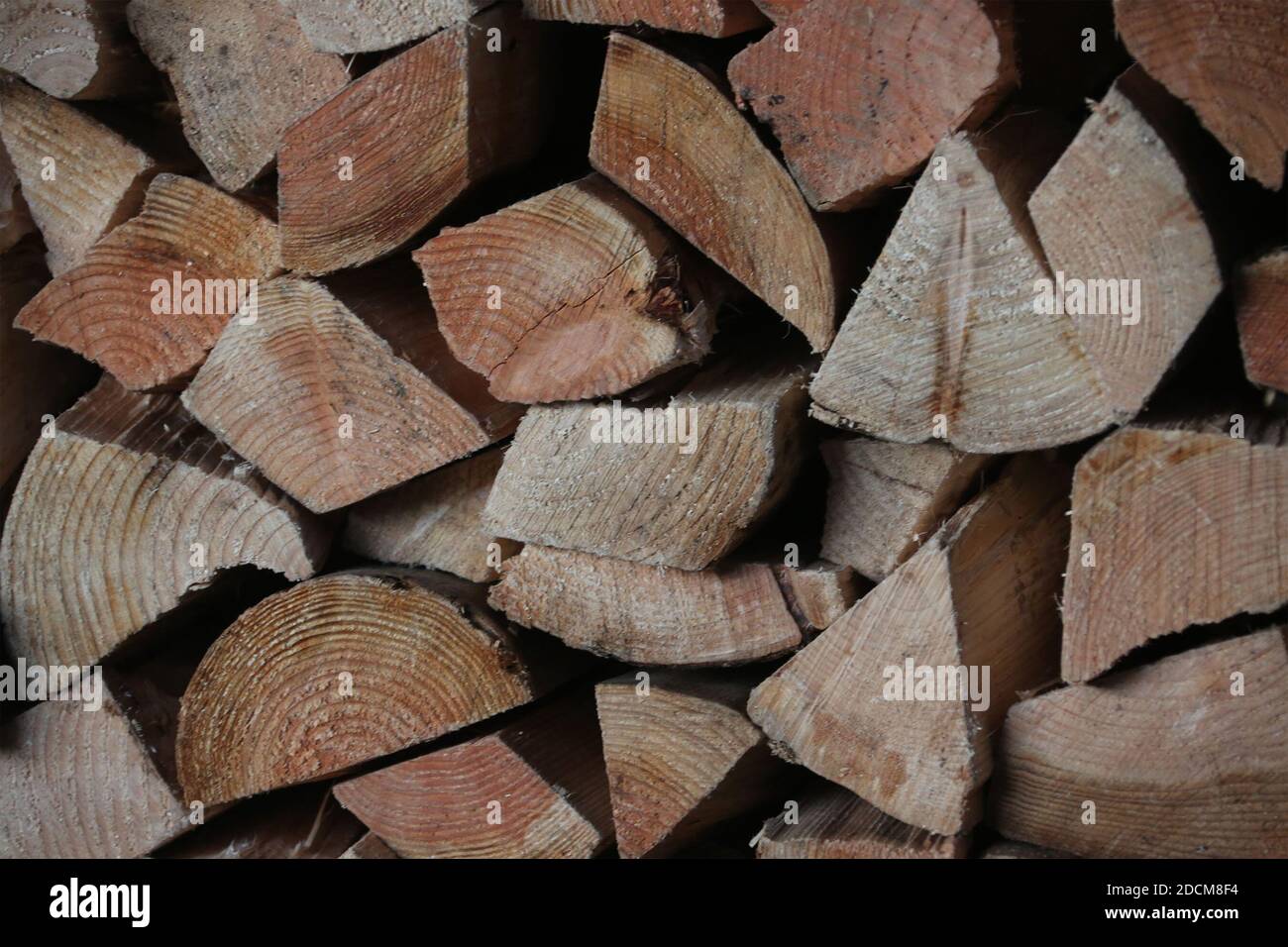 Cut Logs piled end to end Stock Photo