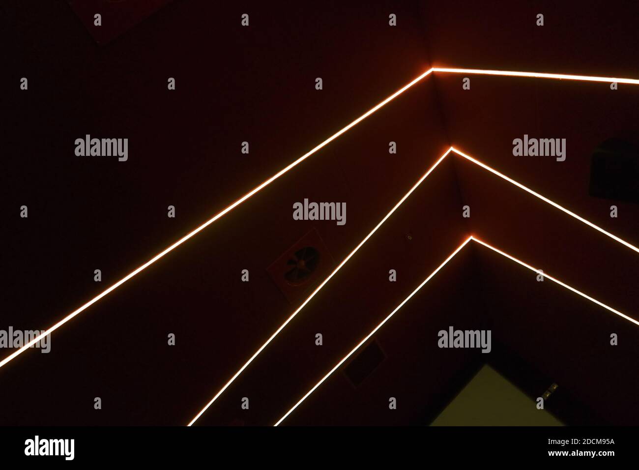 Colorful neon lights background. Texture design. Led light background