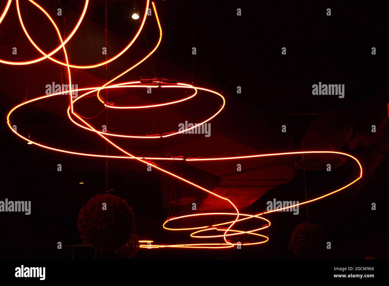 Colorful neon lights background. Texture design. Led light background