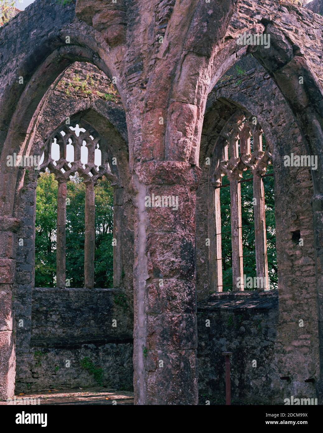 Holy Trinity Church, Buckfastleigh 1 Stock Photo Alamy